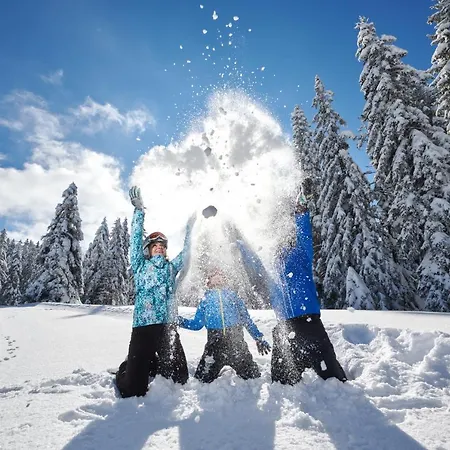 Terme - Vital 4* Zreče