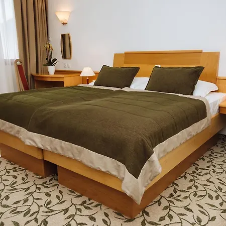 Hotel Terme Zrece - Vital