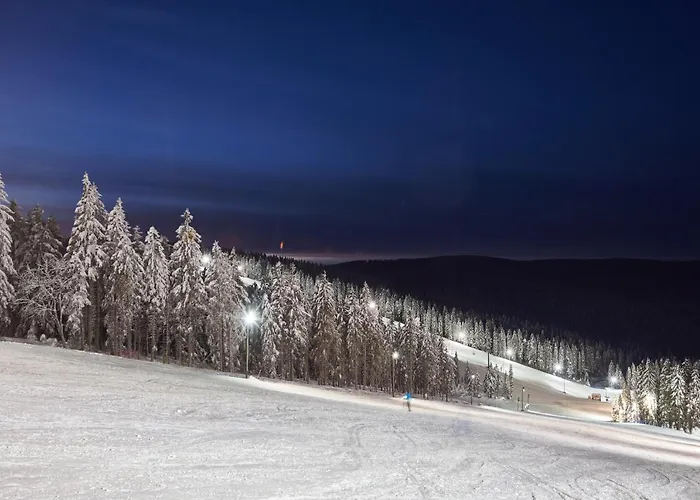 Terme - Vital Hotel 4*