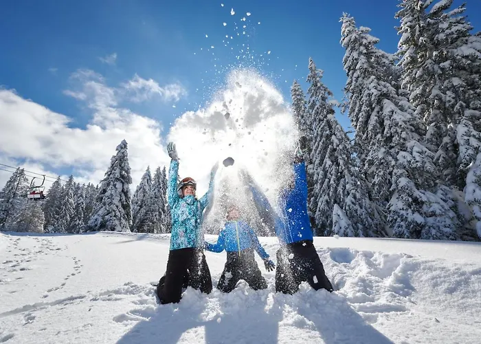 Terme - Vital 4* Zreče