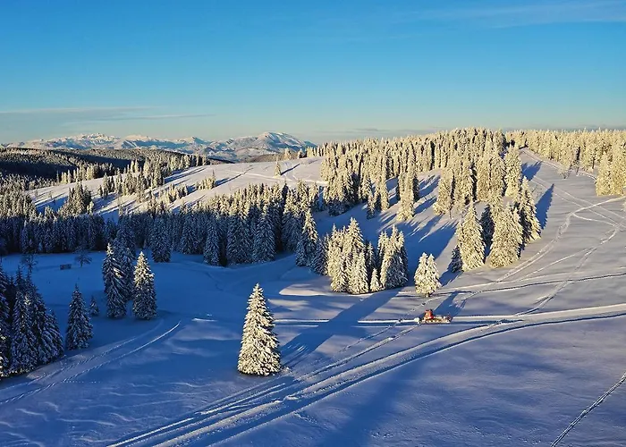 Hotel Terme - Vital Zreče