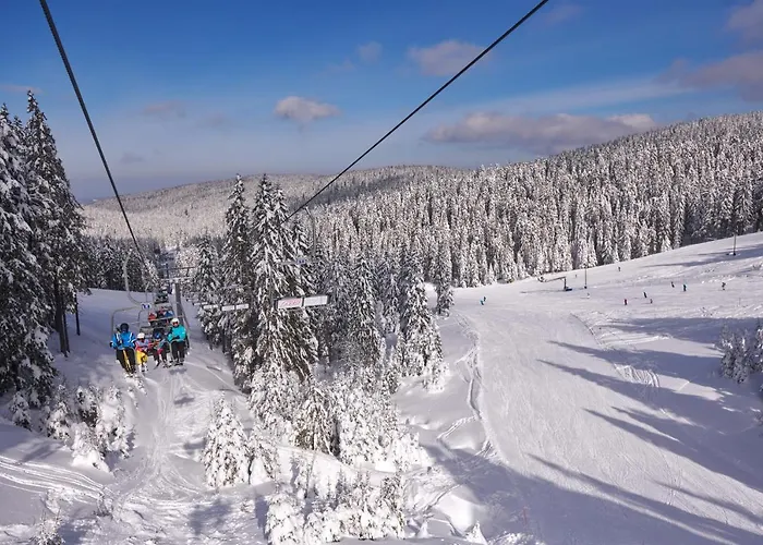 Terme - Vital Zreče