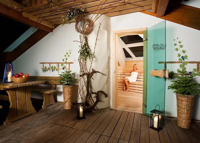 Hotel Terme Zrece - Vital 4*